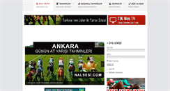 Desktop Screenshot of nalsesi.com