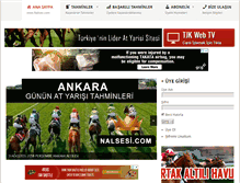Tablet Screenshot of nalsesi.com